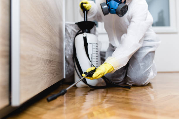 Best Local Pest Control Services  in Basye, VA