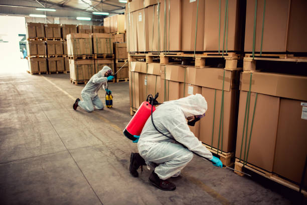 Best Pest Control for Restaurants  in Basye, VA