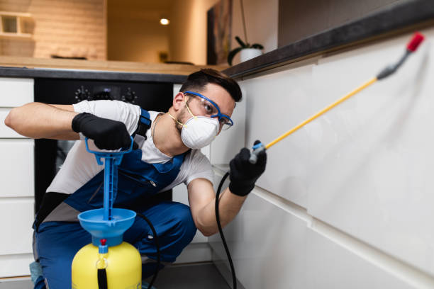 Best Best Pest Control Companies  in Basye, VA