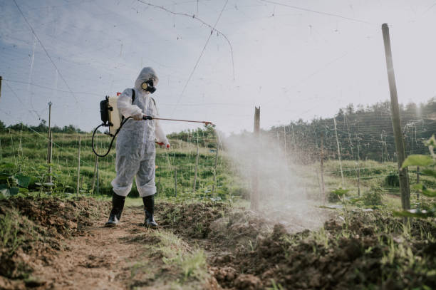 Best Pest Prevention Services  in Basye, VA