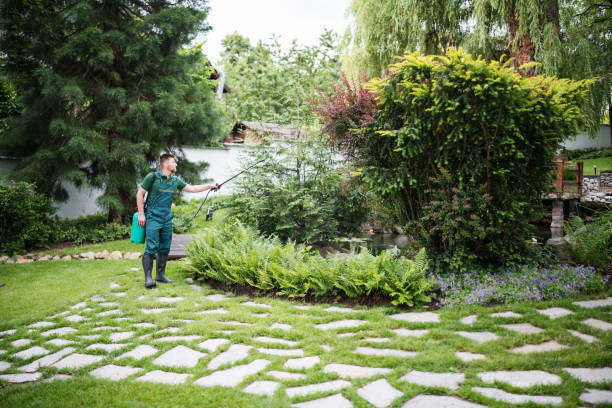 Best Pest Control for Homes  in Basye, VA