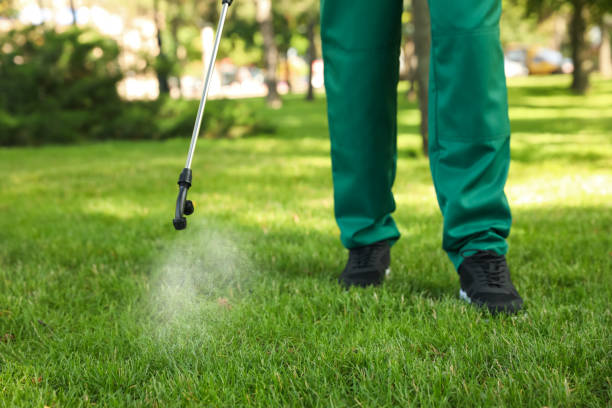 Best Wildlife Control Services  in Basye, VA
