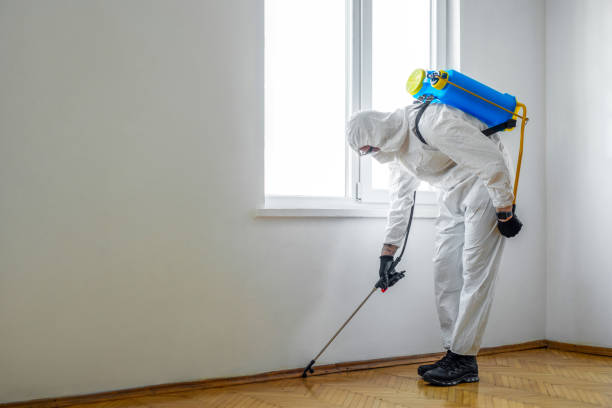 Best Residential Pest Control  in Basye, VA