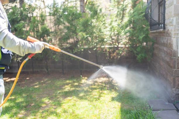 Best Rodent Control Near Me  in Basye, VA
