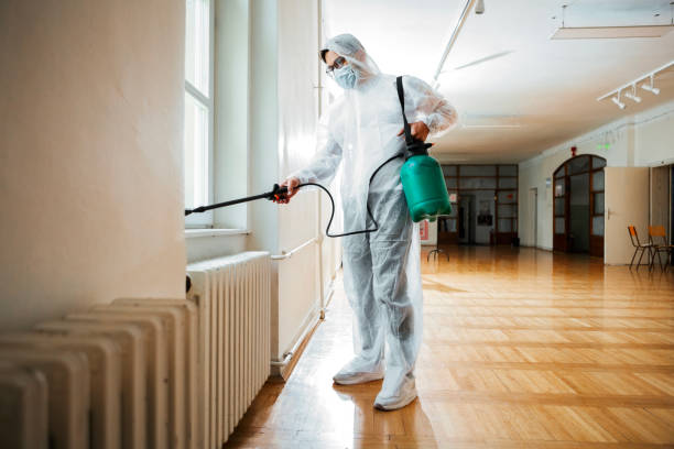 Reliable Basye, VA Pest Control Solutions